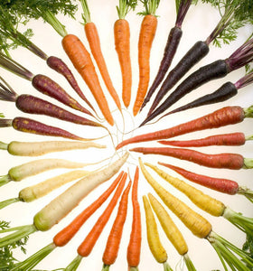 Le carote: come nascono e quali sono le specie italiane?