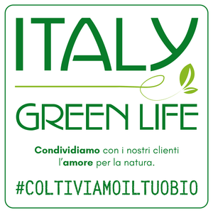 Italy Green Life 12 Piante Grasse Vere Rare Succulente|Vaso Diametro 5.5cm|Coltivazione Senza Spine|Set di Produzione| Piantine Da Interno, Ufficio, Bomboniere, Scrivania| 12 Piante Vere da Interni - Italy Green Life