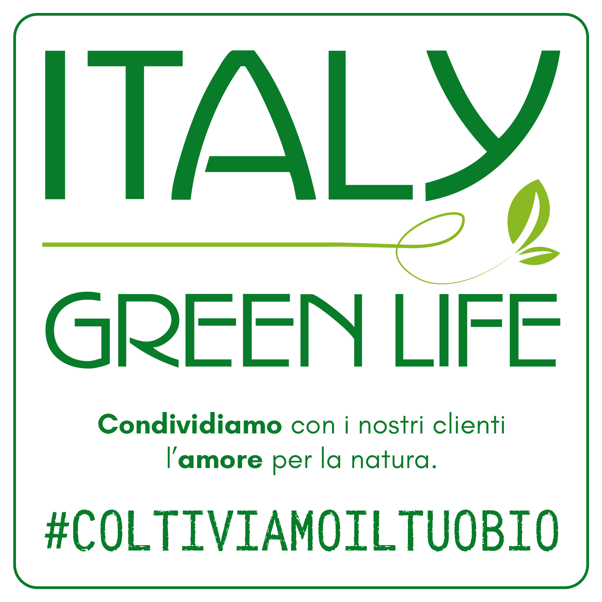 Italy Green Life 3 Piante Grasse Vere Rare Succulenti|Vaso Diametro 5.5cm|Coltivazione Senza Spine|Set di Produzione| Piantine Da Interno, Ufficio, Bomboniere, Scrivania| 3 Piante Vere da Interni - Italy Green Life