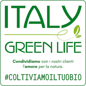 Cabilock 5pezzi Vaso Per Piante Grasse in Plastica Fioriera Dal Design Semplice Adatto Per Casa Ufficio Giardino Cabilock 5pezzi Vaso Per Piante Grasse in Plastica Fioriera Dal Design Semplice Adatto Per Casa Ufficio Giardino