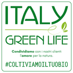 Italy Green Life - Piante Grasse Vere Rare Succulenti| Vaso Diametro 6.5cm| Coltivazione Senza Spine| Piantine da Interno, Ufficio, Bomboniere, Scrivania| Piante Vere da Interni - 6 Piantine - Italy Green Life