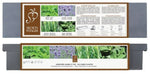 Kit orto da interno con semi di Lavanda, Menta, Rosmarino e salvia - Italy Green Life