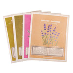 Kit orto da interno con semi di Lavanda, Menta, Rosmarino e salvia - Italy Green Life
