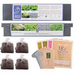 Kit orto da interno con semi di Lavanda, Menta, Rosmarino e salvia - Italy Green Life