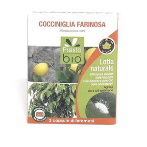 2 Capsule di feromoni contro la cocciniglia farinosa presto bio - Italy Green Life