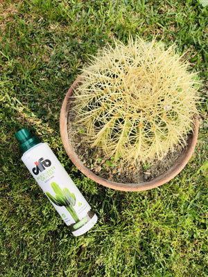 Concime liquido per piante grasse succulenti e cactus cifo 200 - 400 ml - Italy Green Life