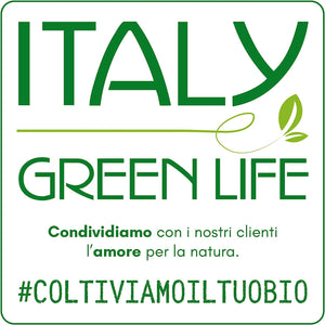Italy Green Life - Mix di 30 Piantine Grasse Vere Mini Cactus e Succulenti, Vaso Ø 5.5cm. Piante Vere da Interno, Piante Vere da Appartamento, Piante Grasse Vere da Esterno Regali Ecosostenibili - Italy Green Life