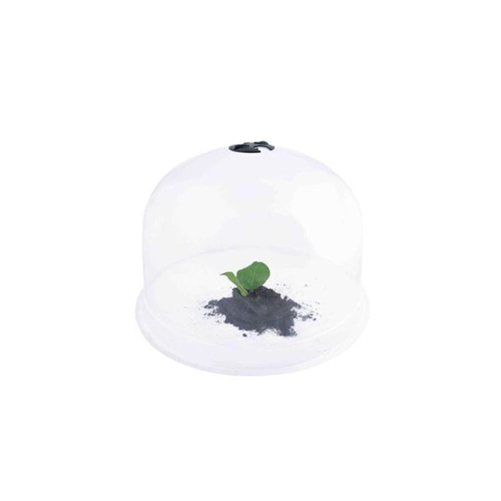 Mini serra a campana per fiori e piante in plastica misura L - Italy Green Life