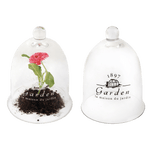 Serra proteggi fiori e piante in vetro Misura L - Italy Green Life