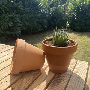 Vaso per piante e fiori in terracotta con foro di drenaggio - Italy Green Life