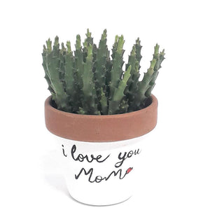Vaso per piante in ceramica artigianale regalo festa della mamma - Italy Green Life